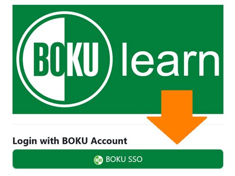 boku learn login moodle